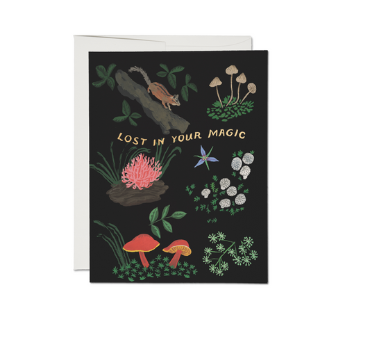 Lost in Your Magic