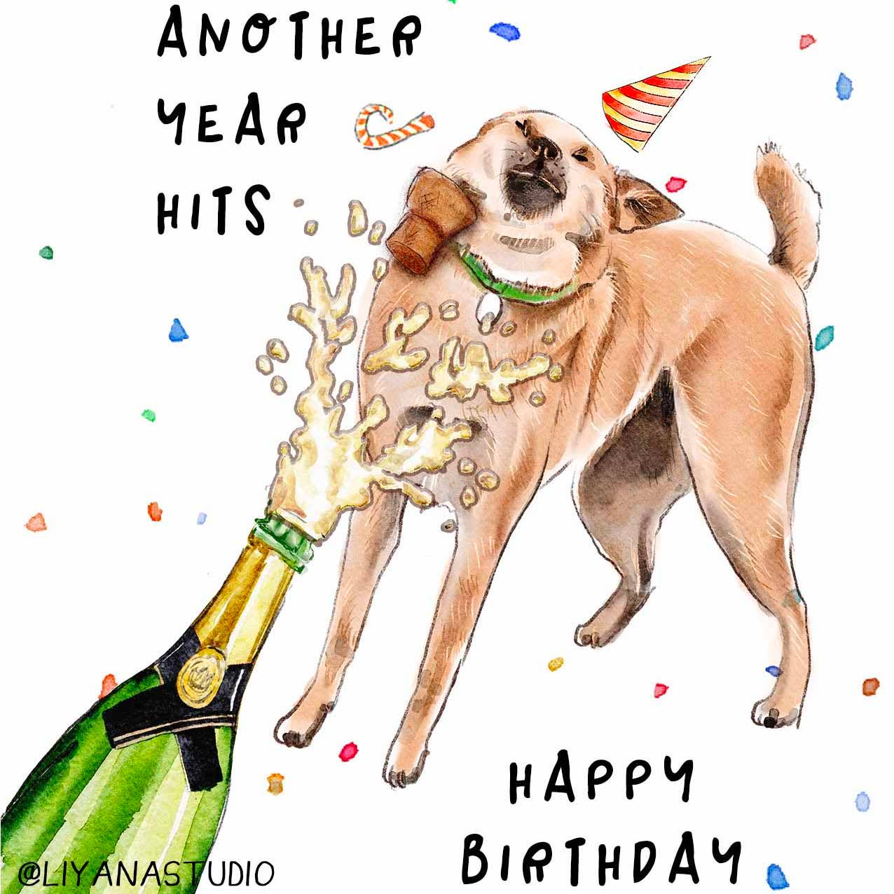 Another Year Hits Dog