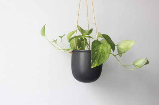 Matte Hanging Planter