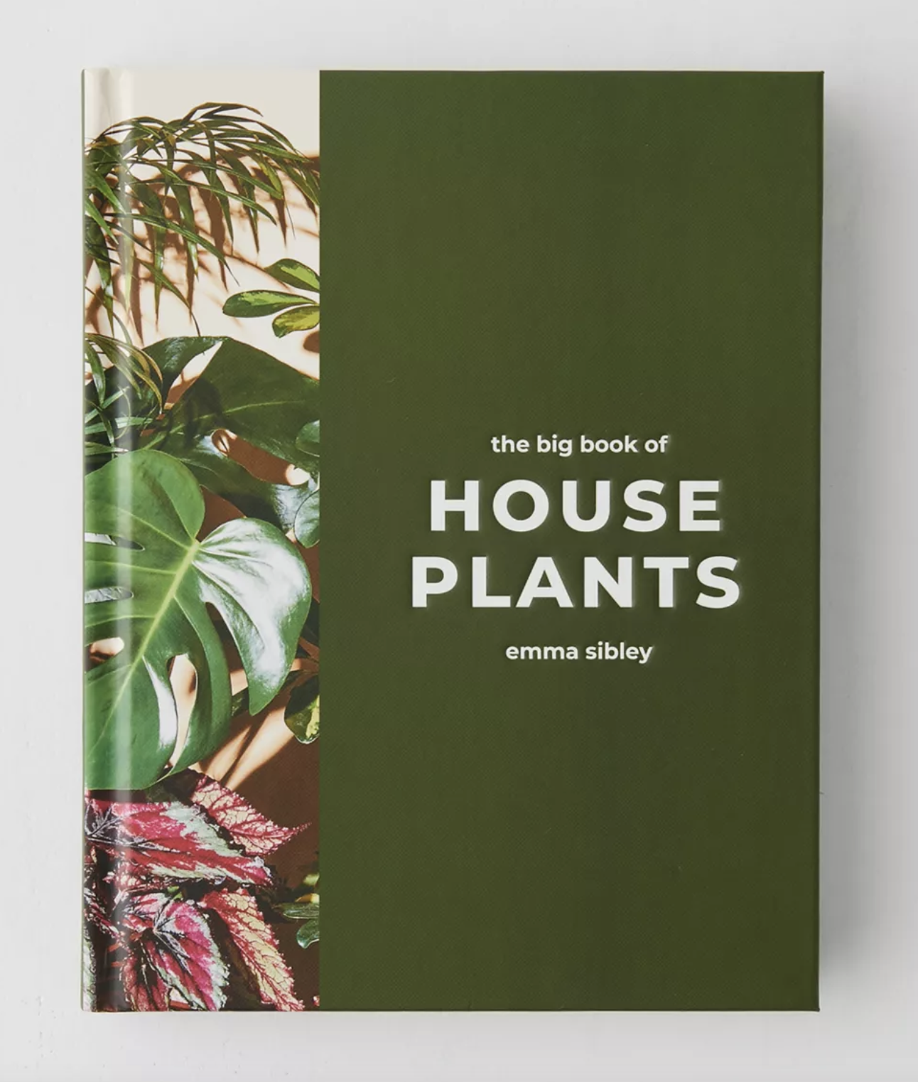 Big Book of Houseplants