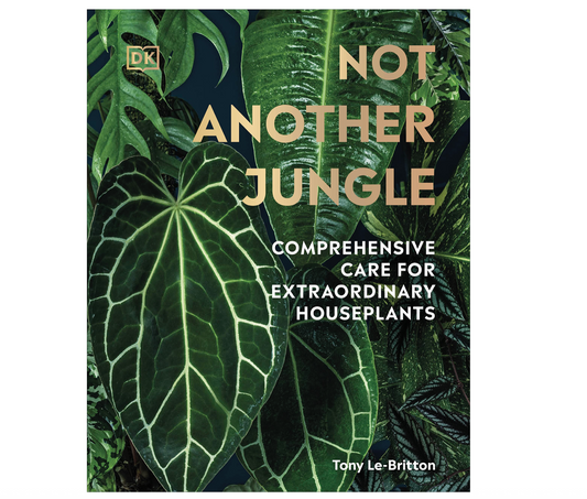 Not Another Jungle