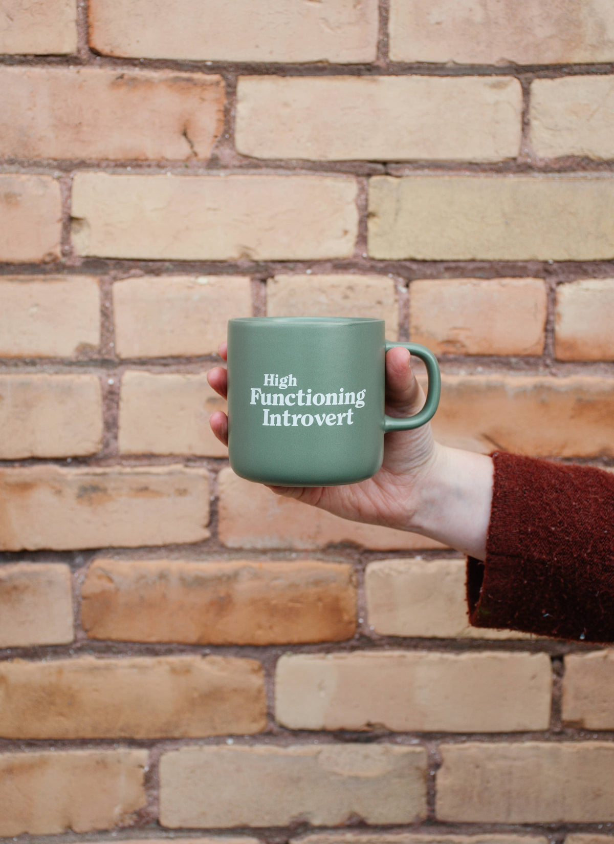High Functioning Introvert 12oz Mug