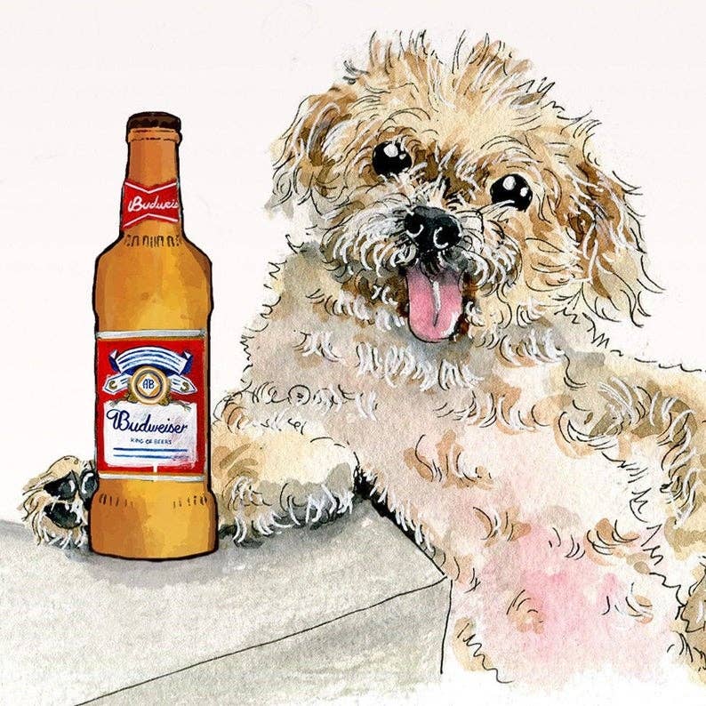 Older Budwiser Dog