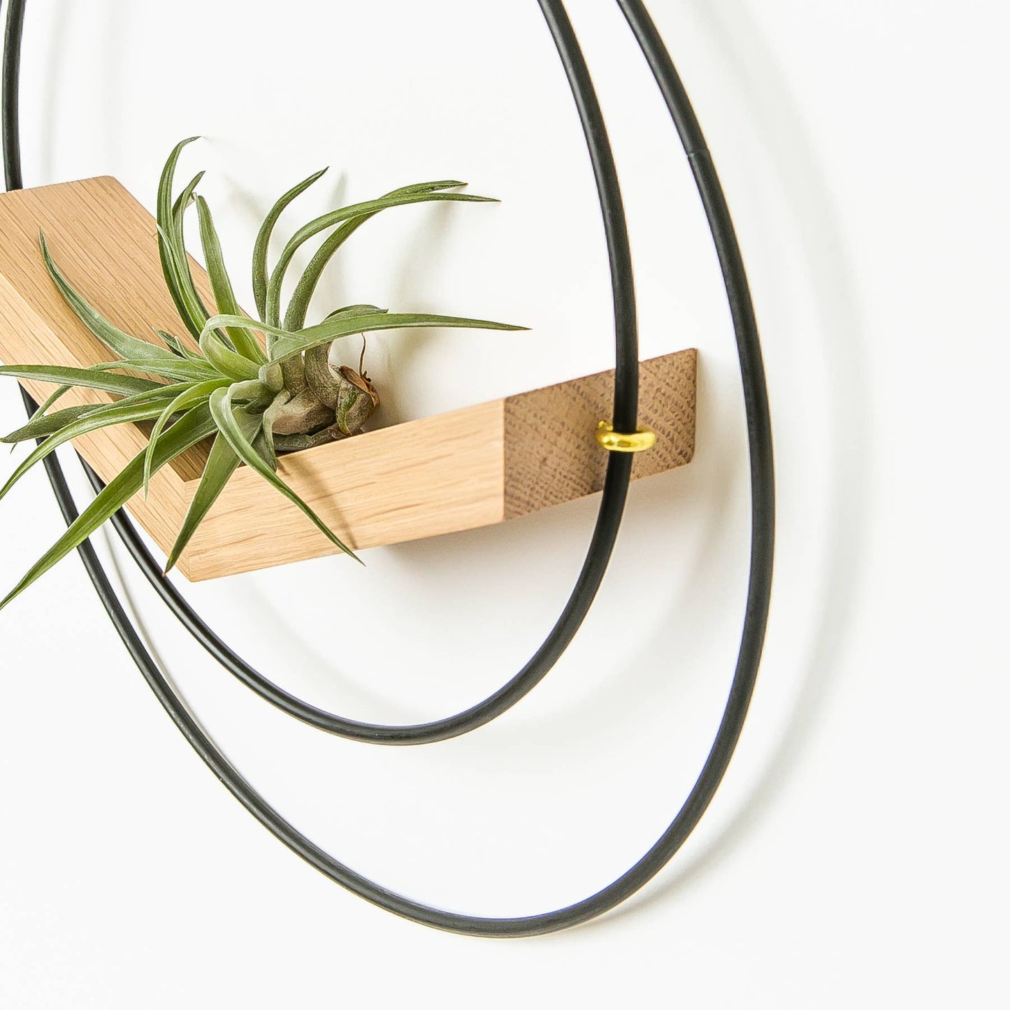 Small Black Mixed Metal V-Hanger Air Plant Holder