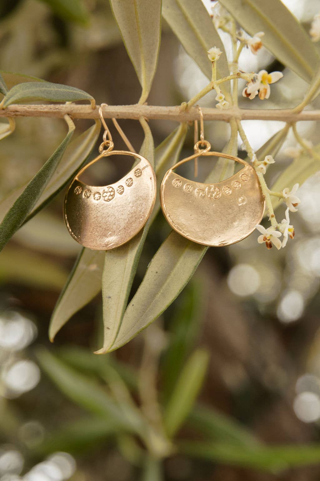Santa Fe Earrings