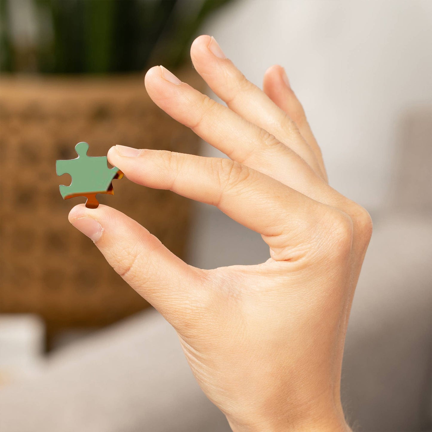 1000 PIECE PUZZLE San Diego, California, Geometric