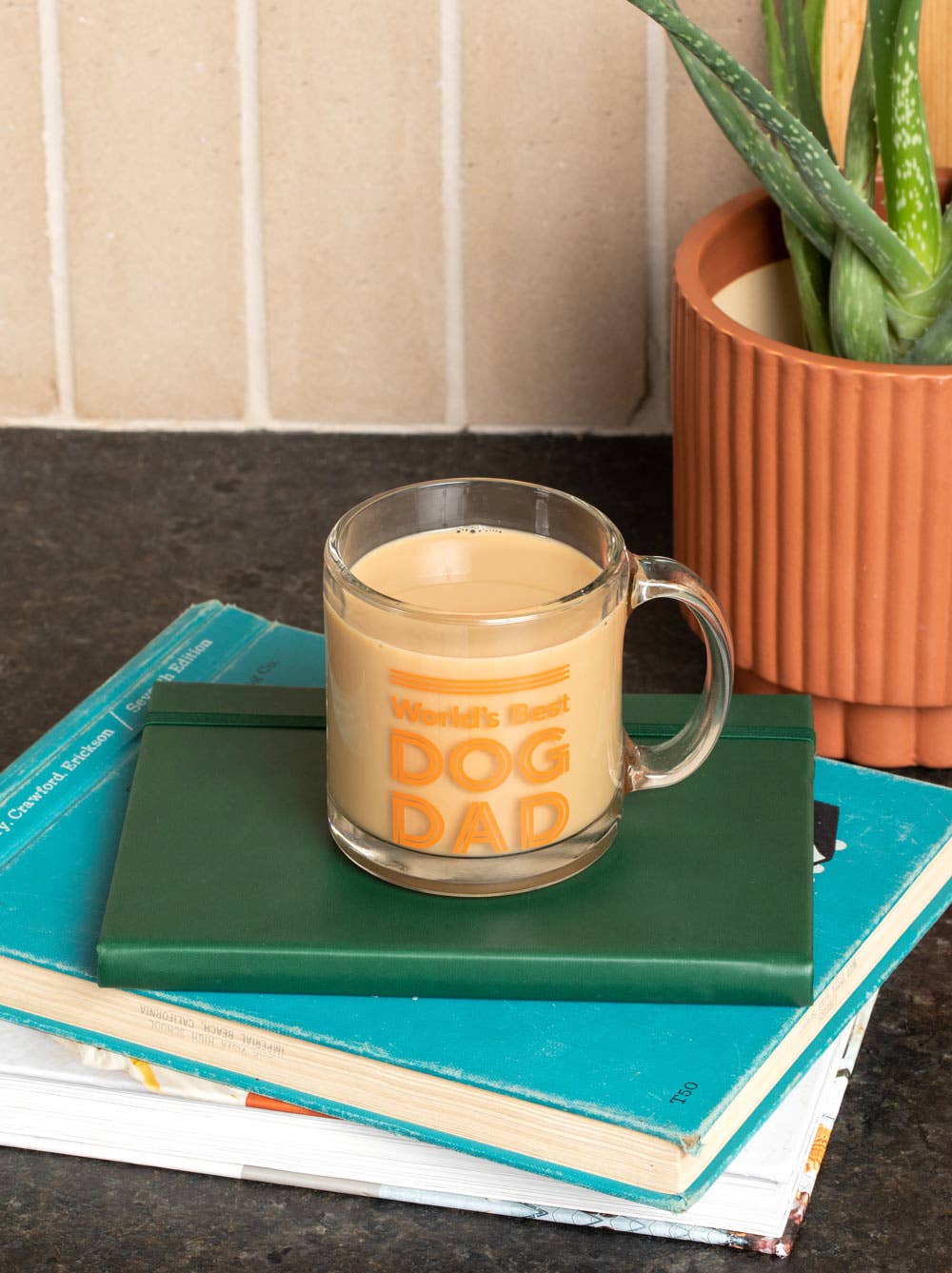 World's Best Dog Dad Glass Mug