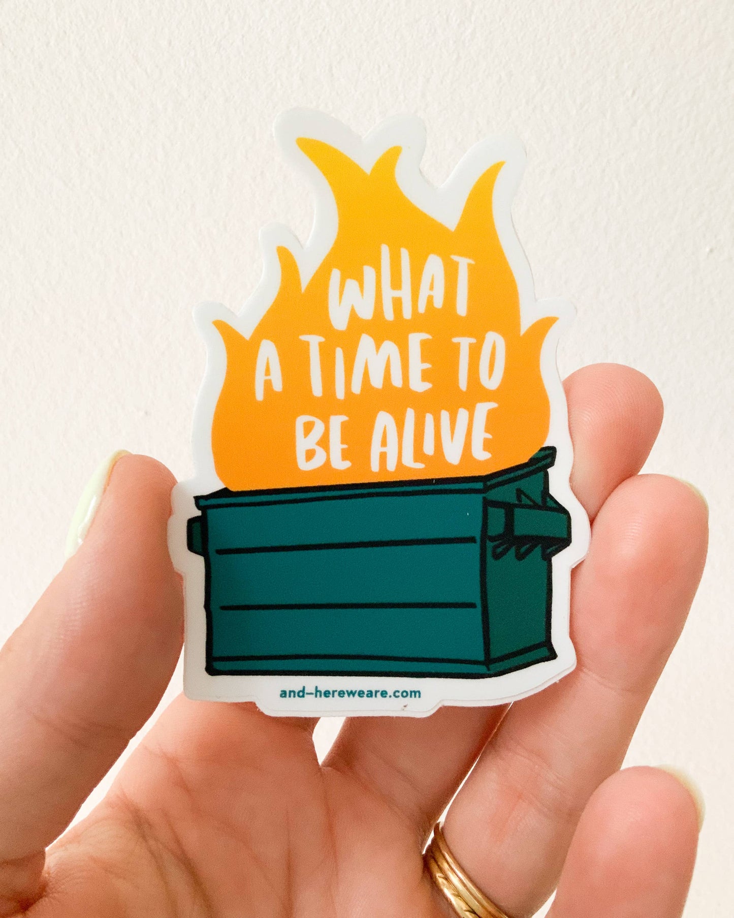 Vinyl Sticker | Dumpster Fire