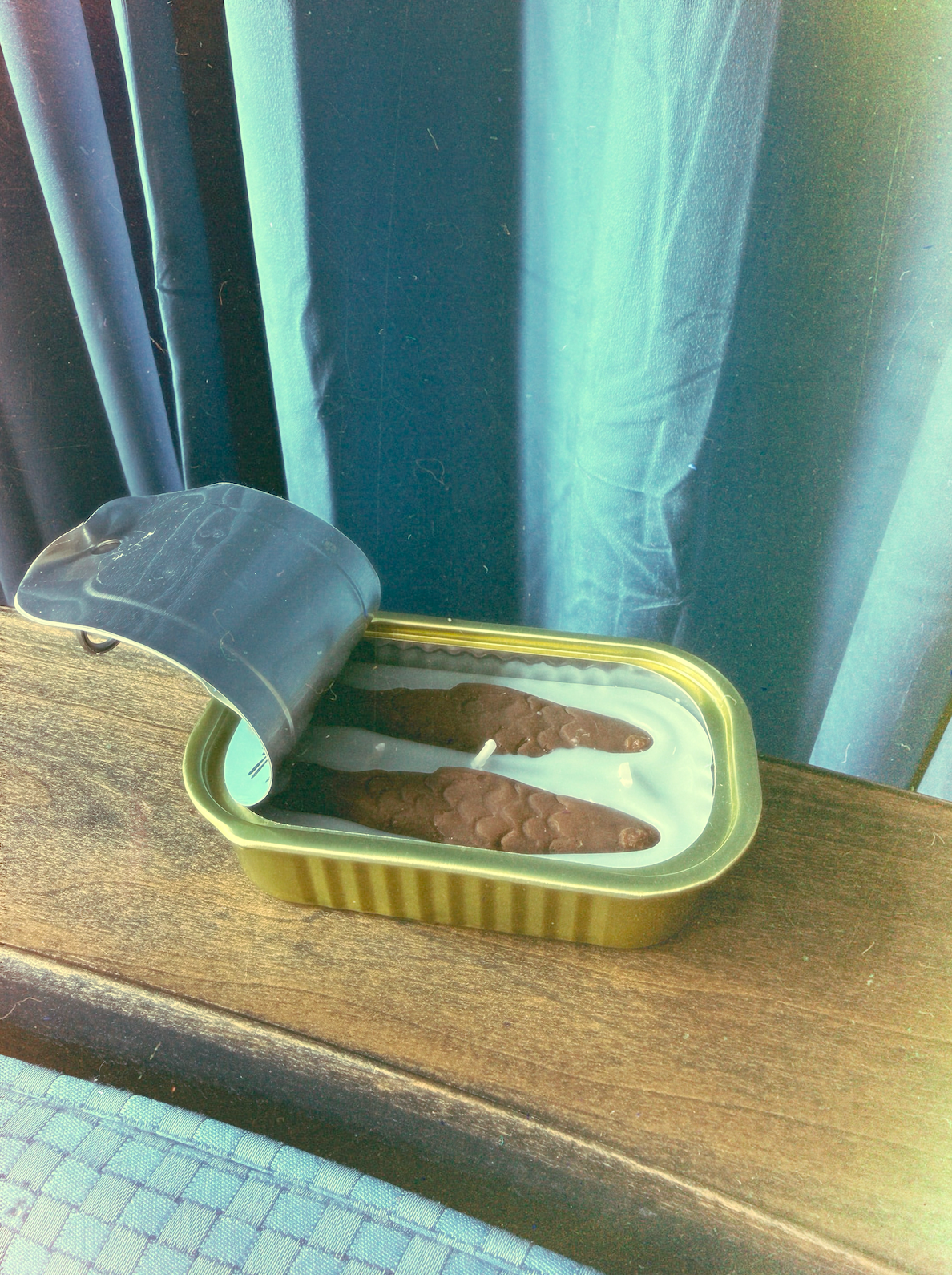 Tinned Fish Candle | Enoki Forest