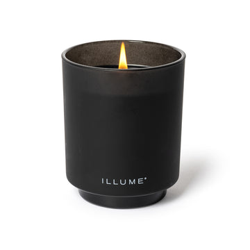 Illume 10 oz Boxed Glass Candle | Blackberry Absinth