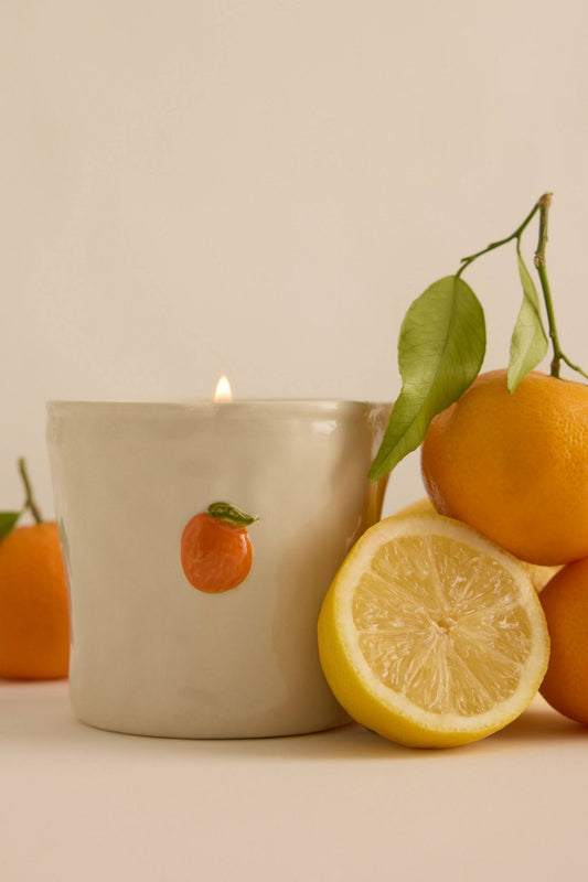 Paddywax Bistro 8 oz White Ceramic Candle | Citrus Spritz