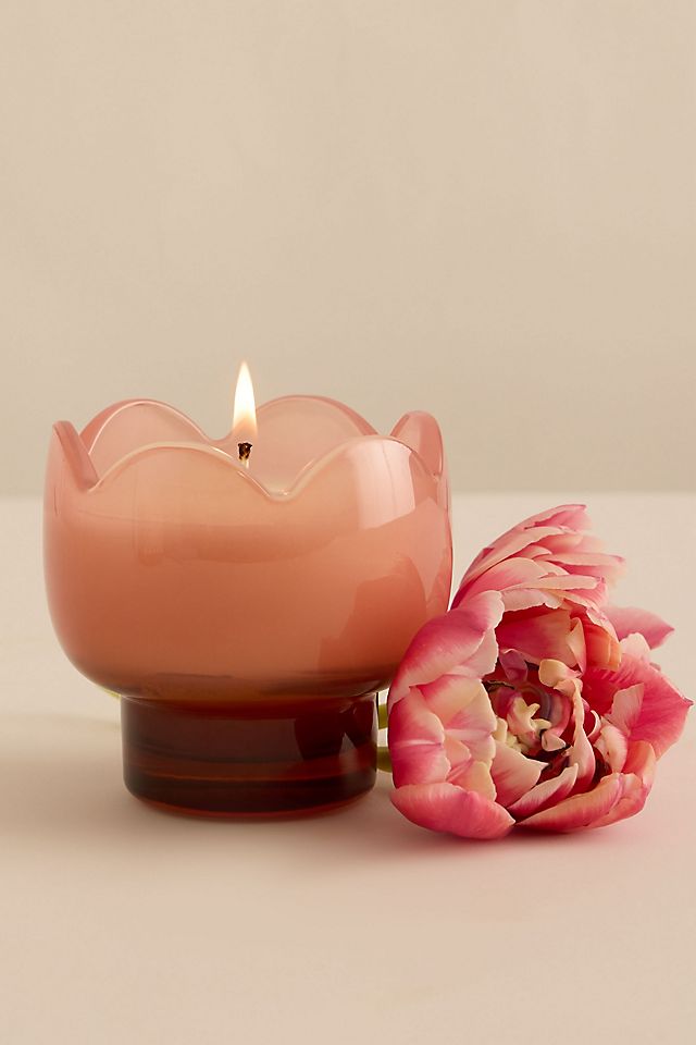 Paddywax 5.5 oz Tulip Candle | Cactus Flower