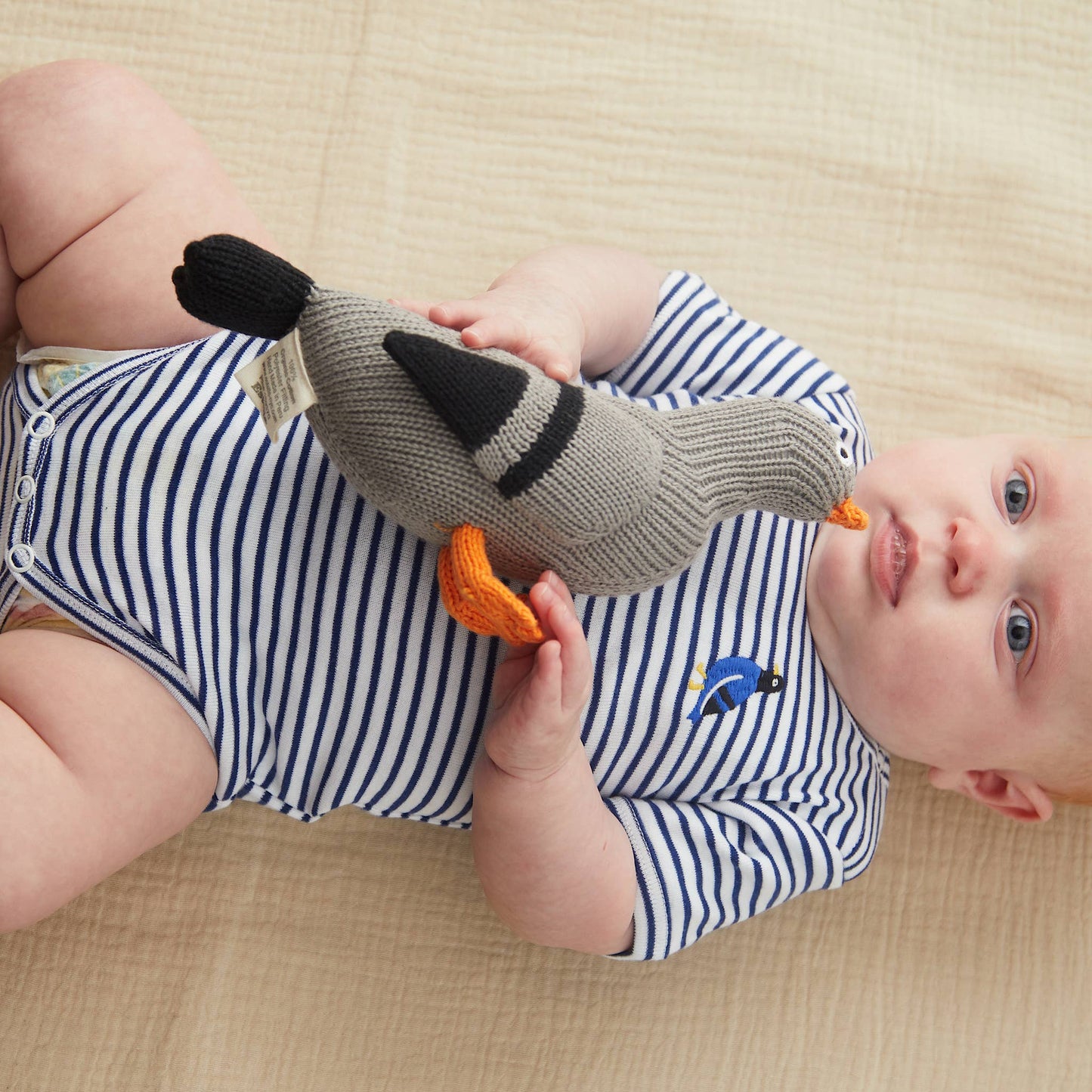 Pigeon Baby Rattle