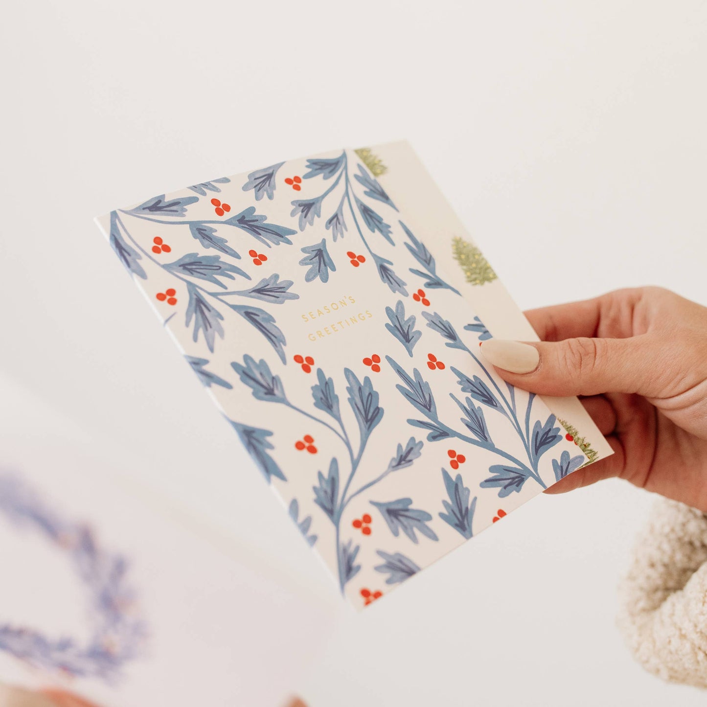 Seasons Greetings Holly Card | Boxed Set of 6