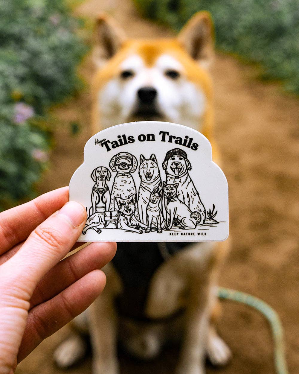 Happy Tails | Sticker