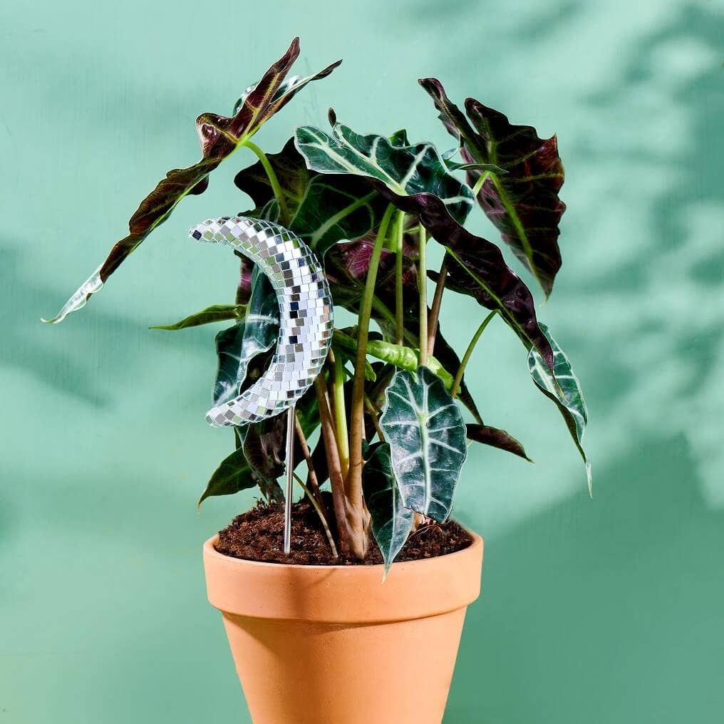 Mirror Disco Ball Decorative Plant Stakes | Disco Moon