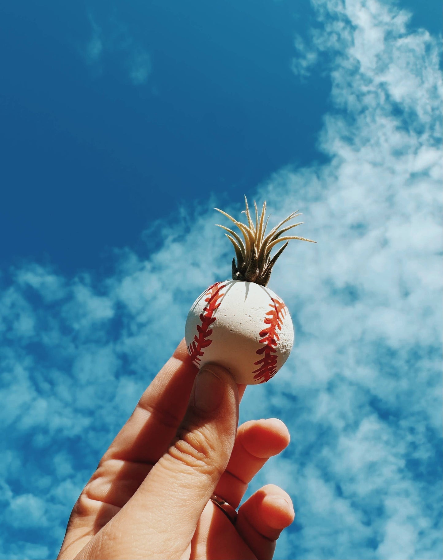 Baseball Mini Plant Pot with Plant