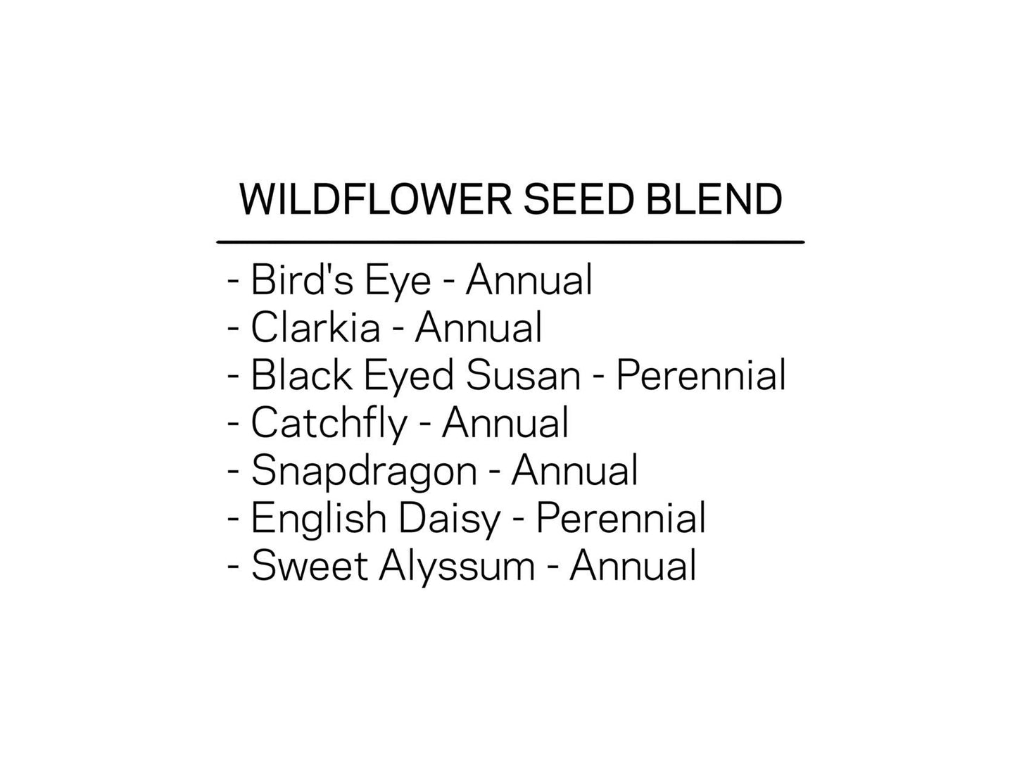 Wildflower Seed Confetti - Rainbow