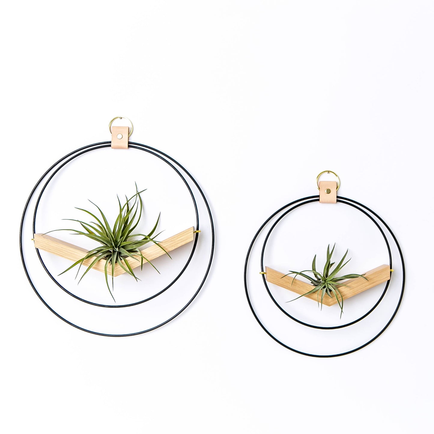 Small Black Mixed Metal V-Hanger Air Plant Holder