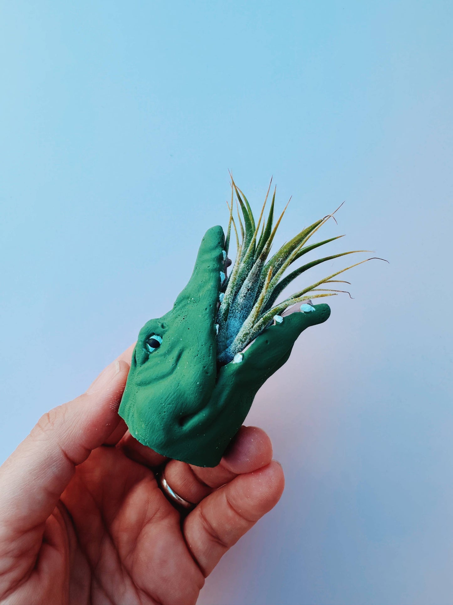 Mini Gator Plant Pot with Air Plant