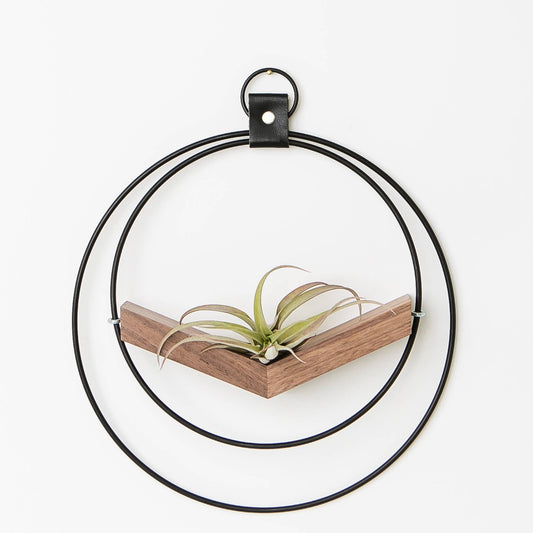 Small Dark & Stormy V-Hanger Air Plant Holder