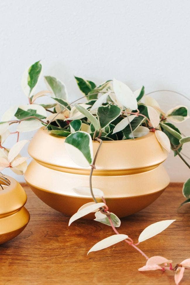 Large Hanging Planter | Midnight