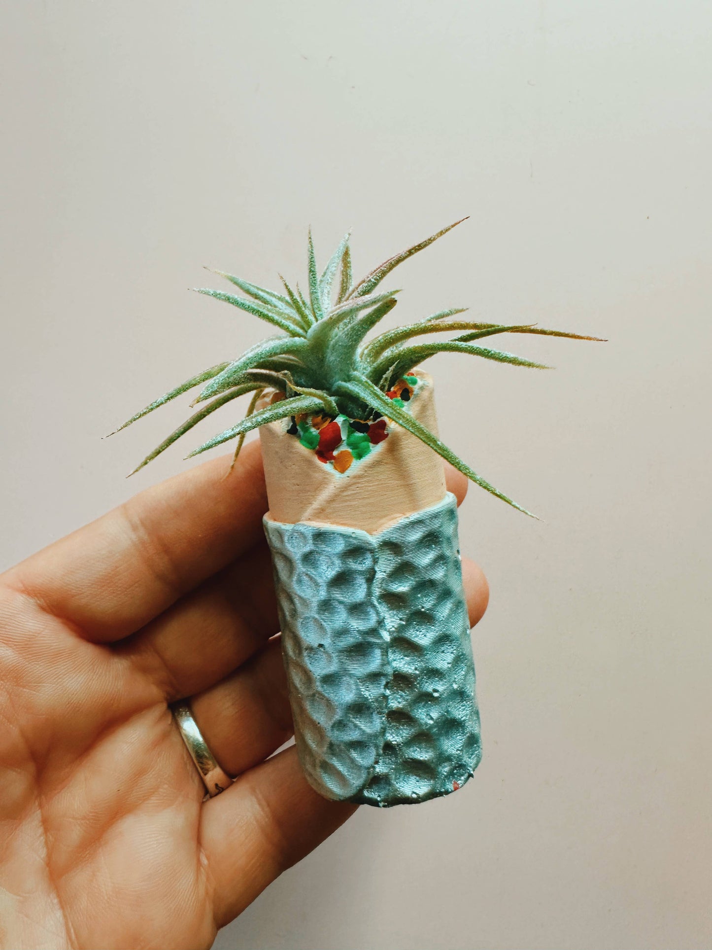 Burrito Mini Plant Pot with Plant