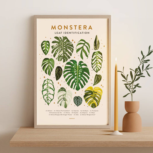 Monstera Plant Poster