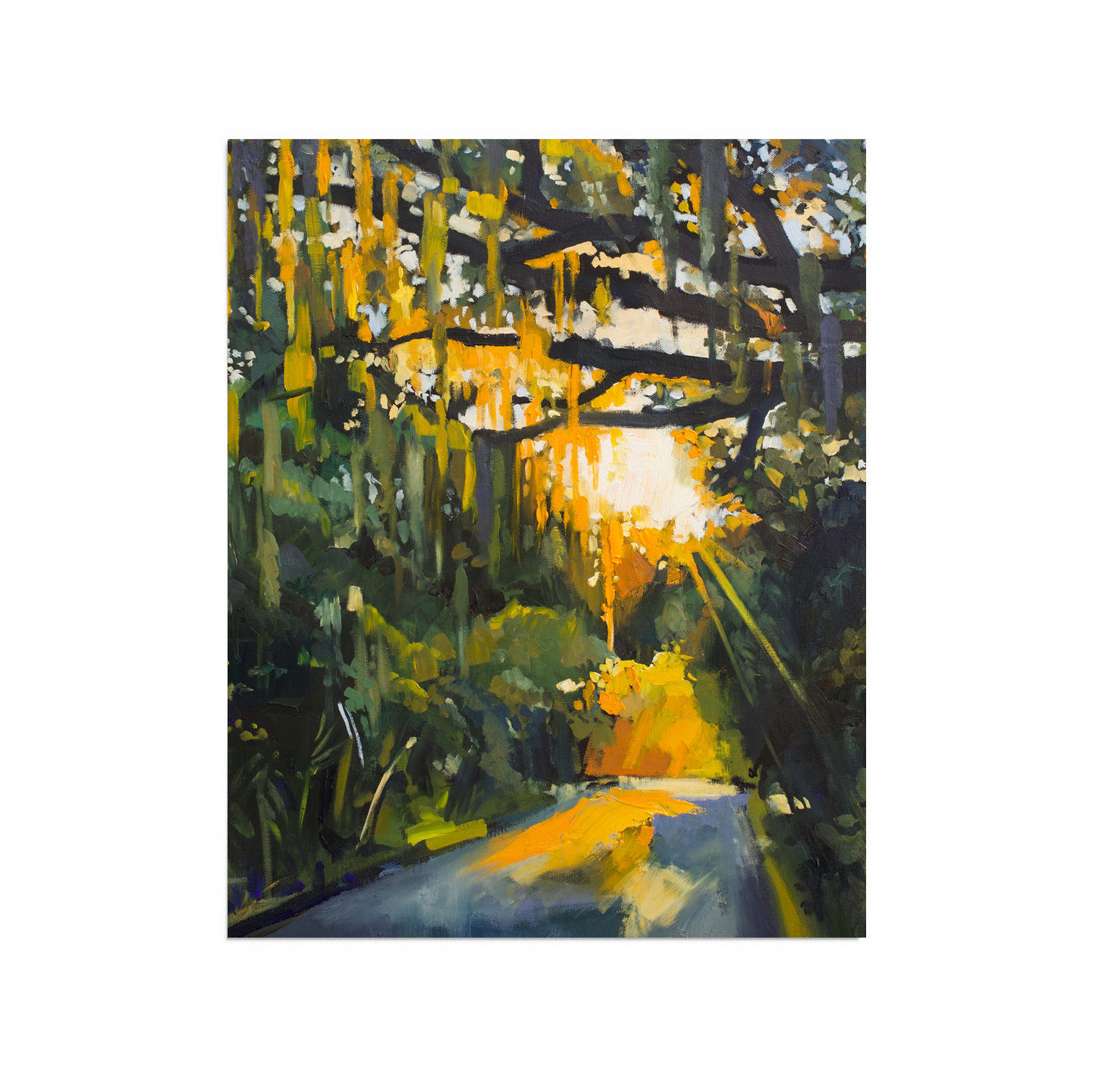 Spanish Moss: 8 x 10 (paper)