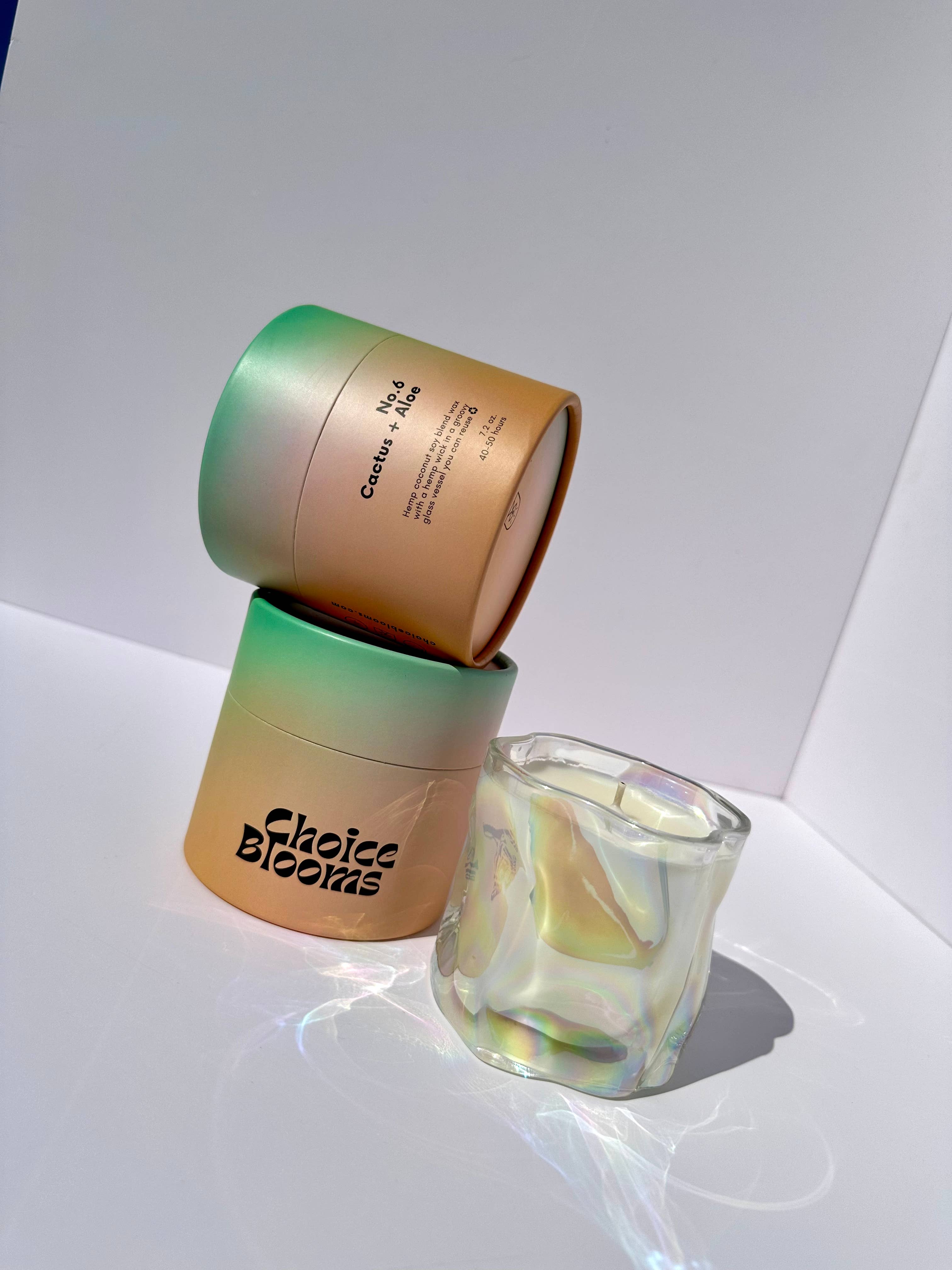 NO. 6 CANDLE Cactus + Aloe - Thumbnail 5