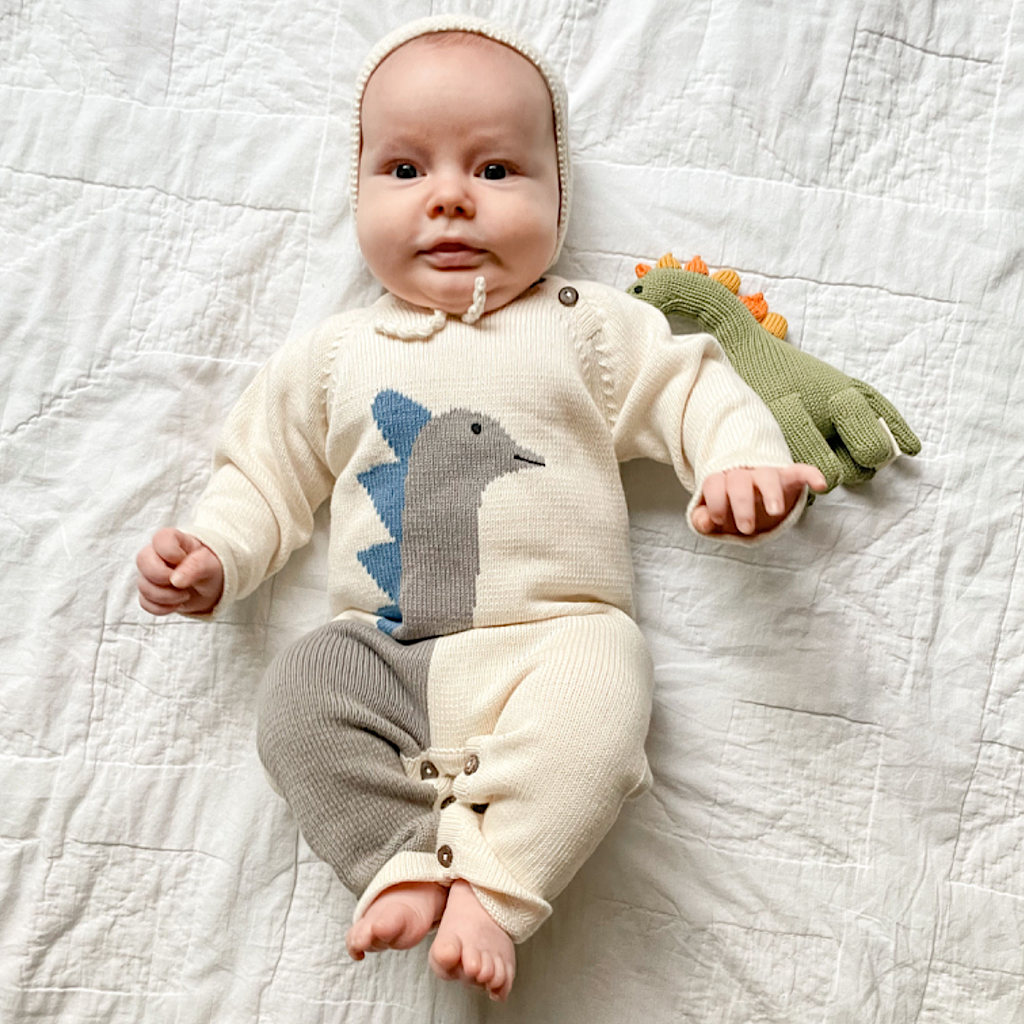 Brachiosaurus Dinosaur Baby Rattle