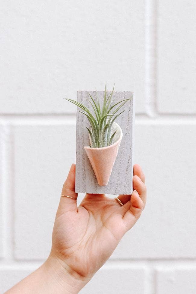 Tiny Ceramic Wall Planter | Speckled White