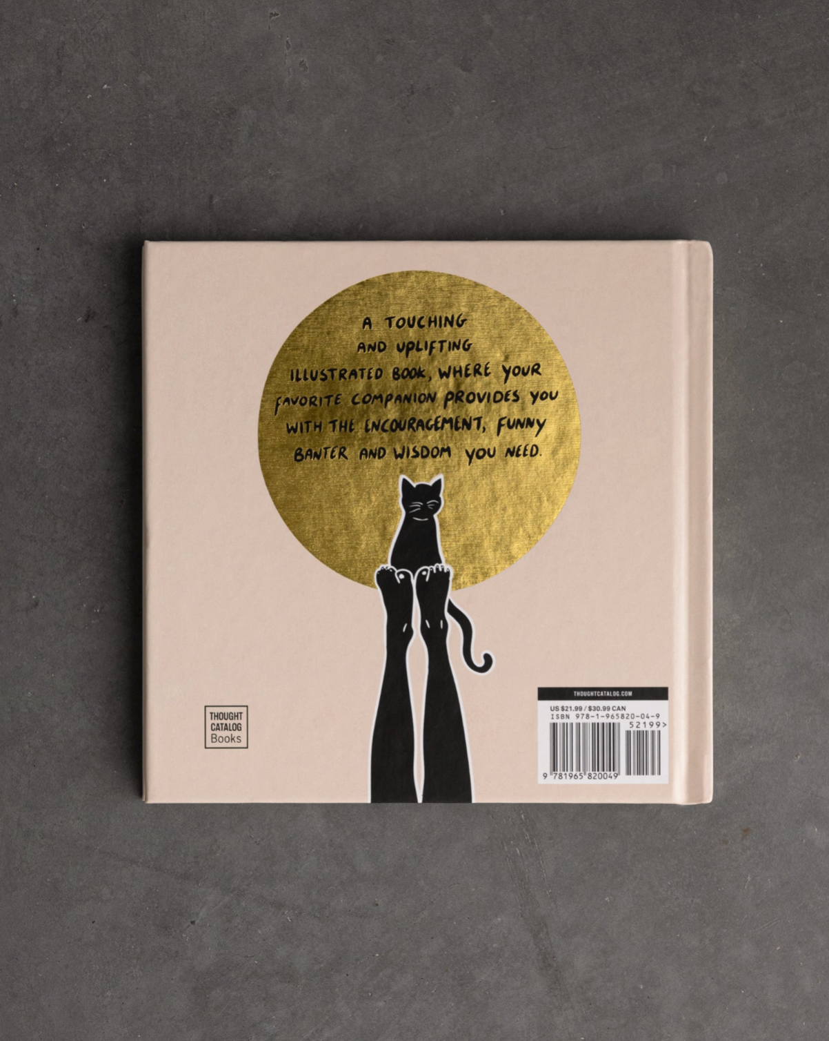 Conversations With My Cat Illustrated Book