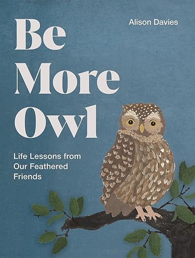 Be More Owl