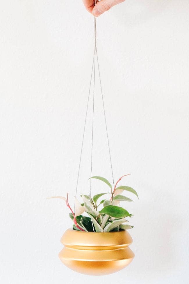 Medium Hanging Planter |  Midnight