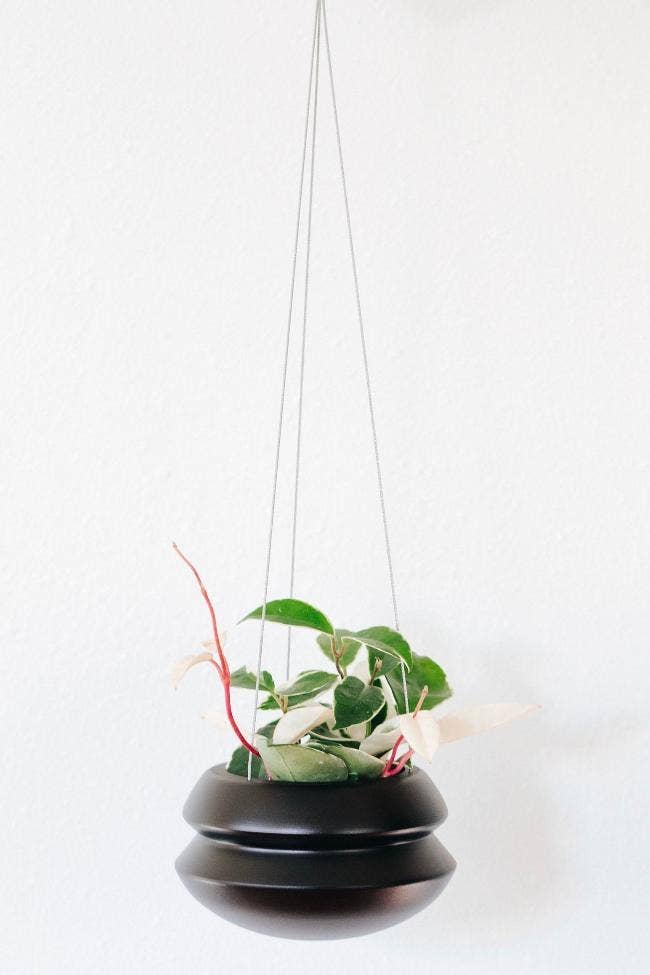 Large Hanging Planter | Midnight