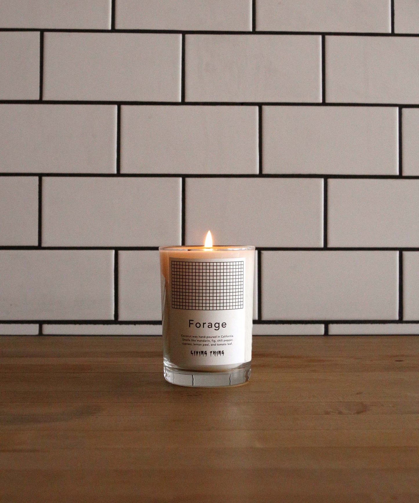 Forage Candle | Tomato Leaf, Dirt & Vanilla