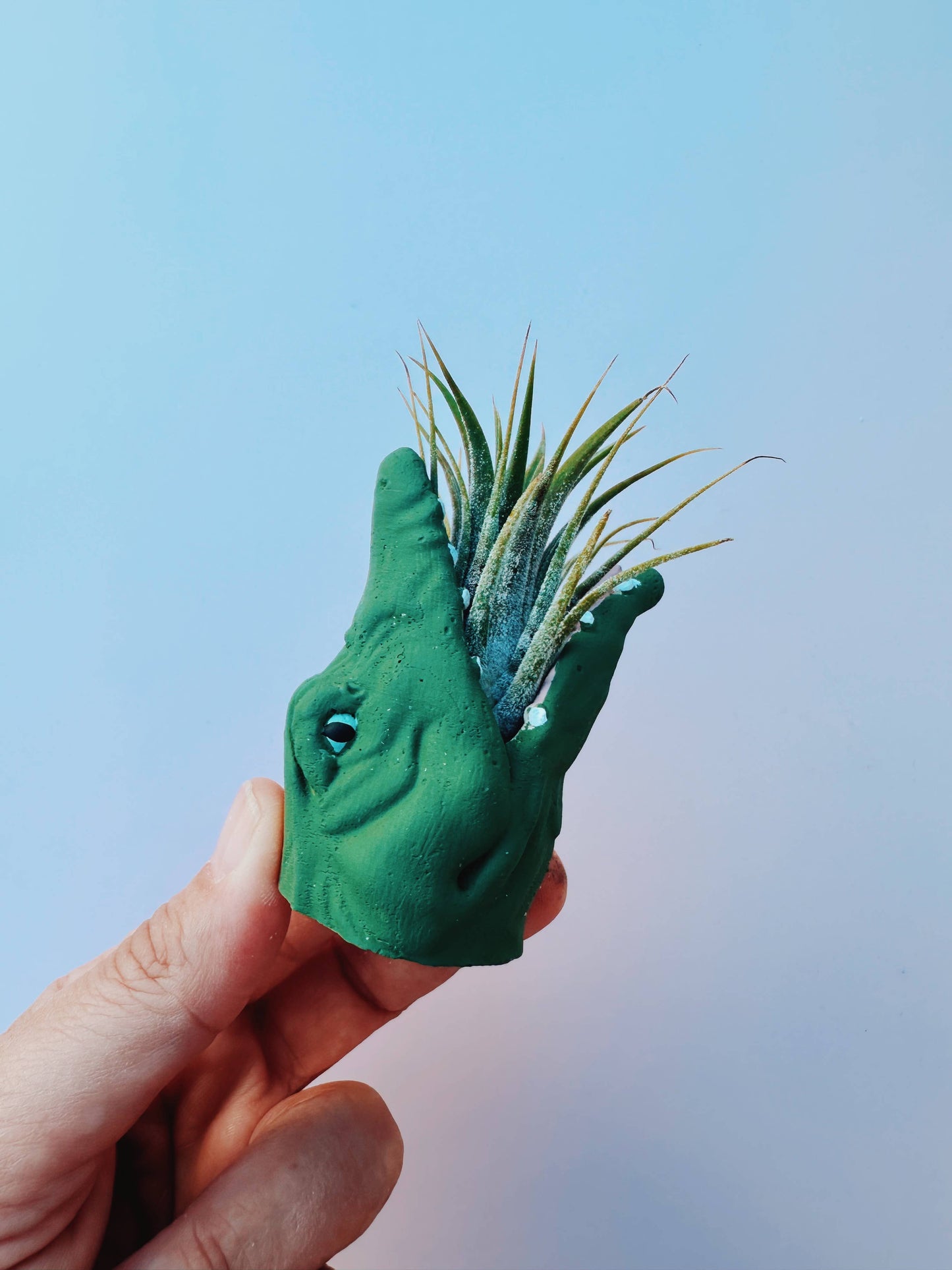 Mini Gator Plant Pot with Air Plant