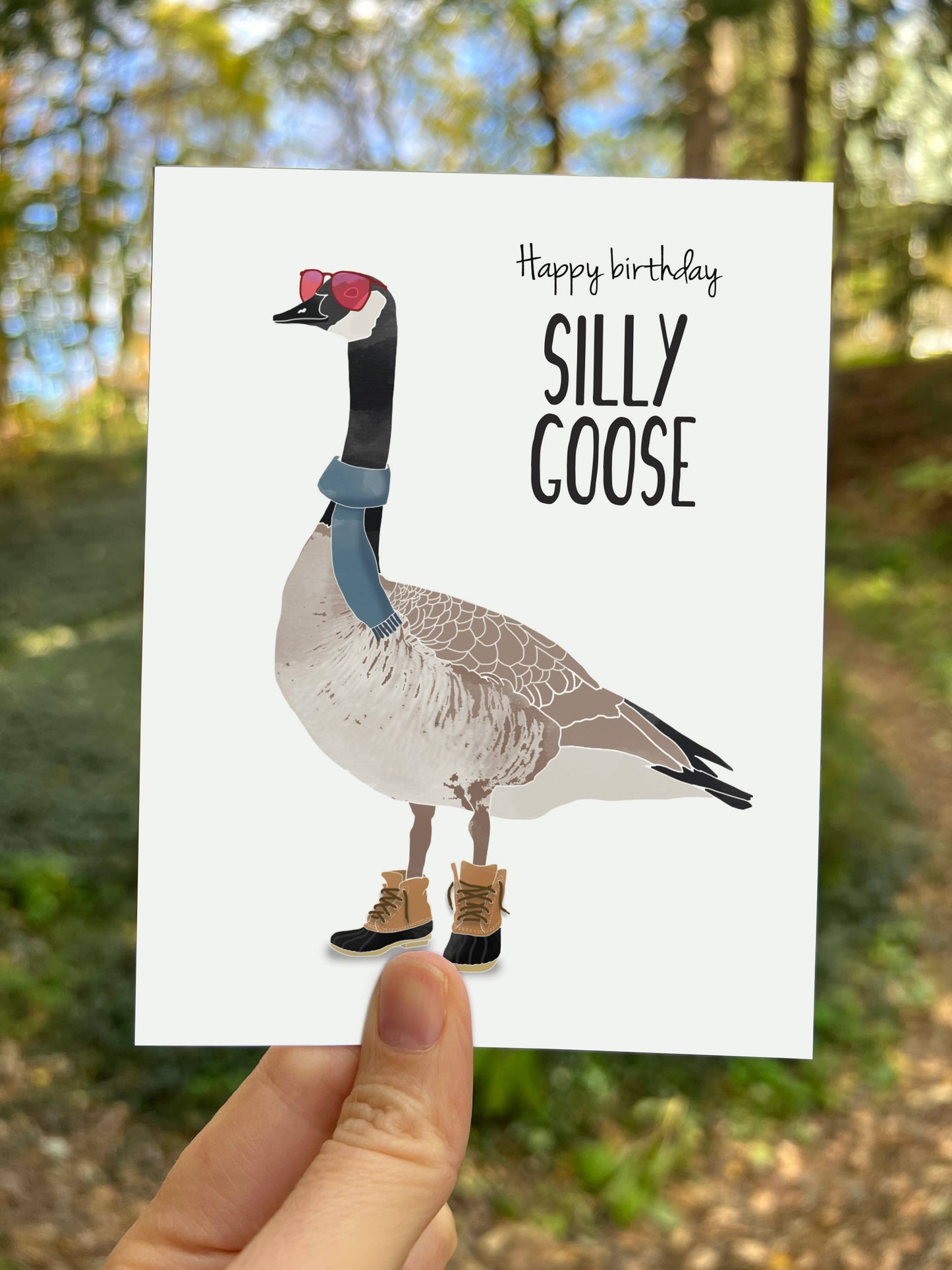 Silly Goose Birthday Card