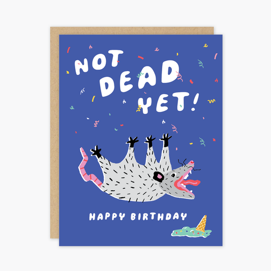 Possum Birthday Card