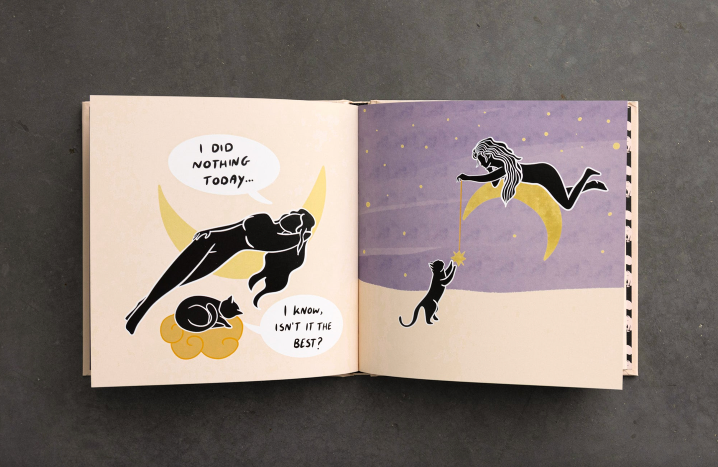 Conversations With My Cat Illustrated Book