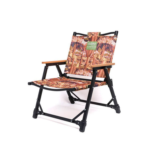 Saguaro Cacti Fold Up Chair
