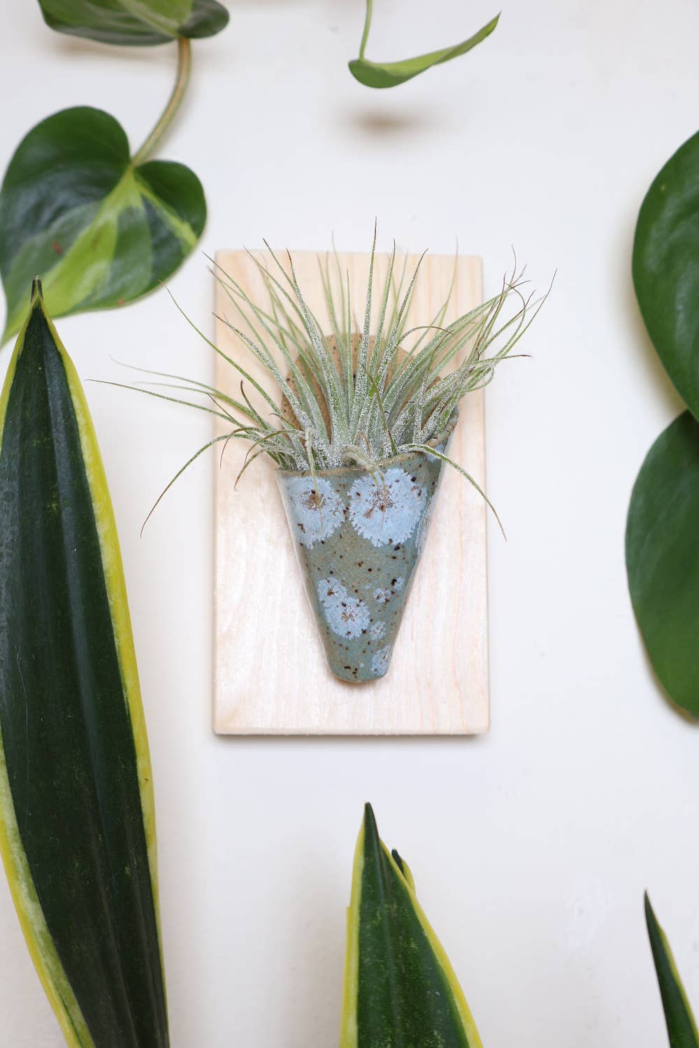 Tiny Ceramic Wall Planter | Speckled White