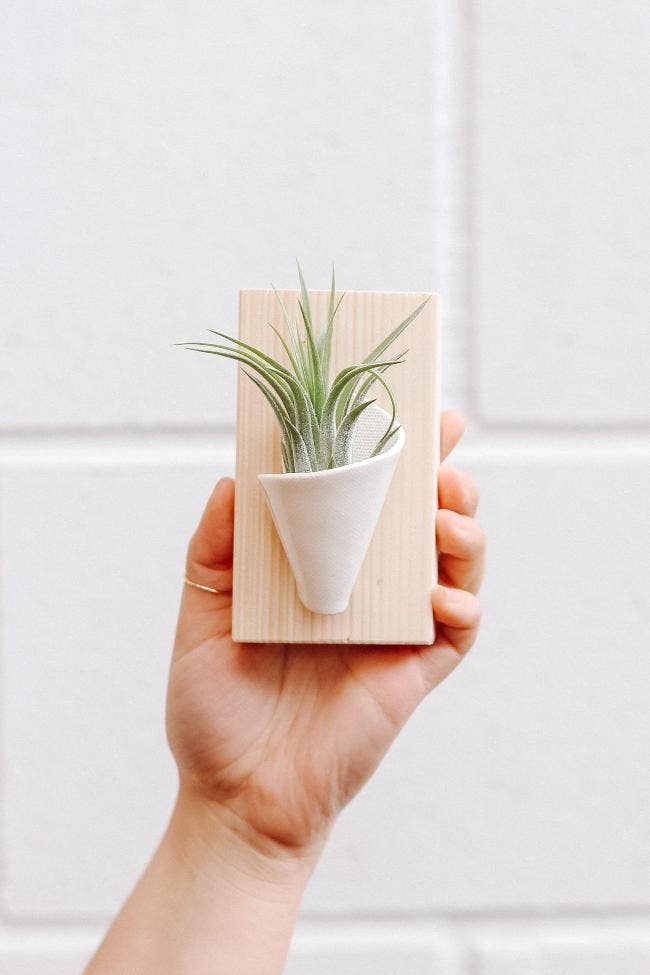 Tiny Ceramic Wall Planter | Speckled White