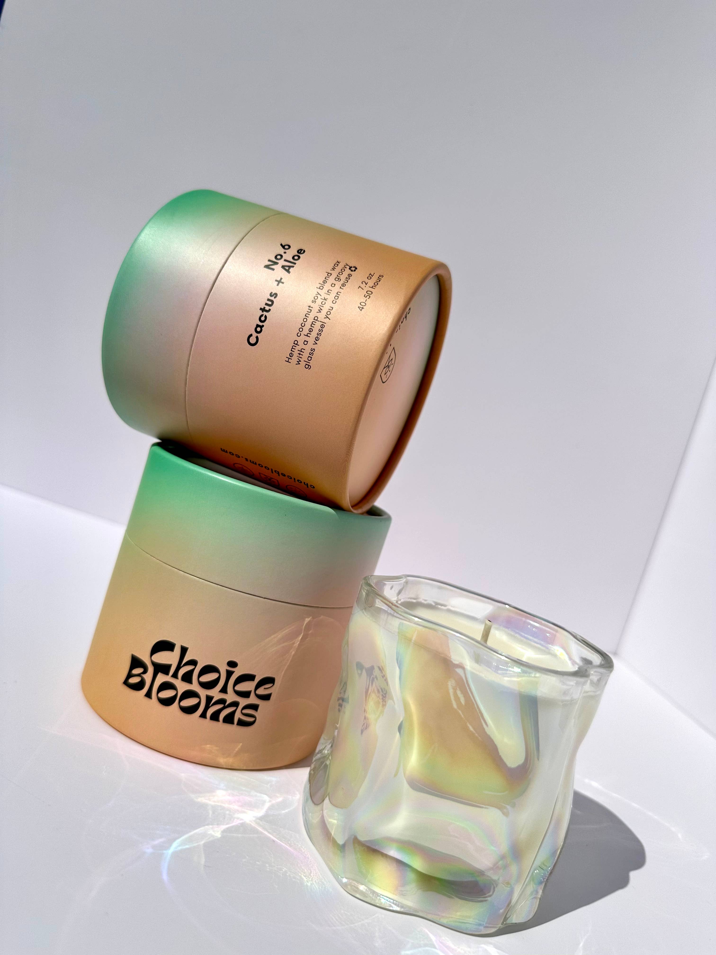 NO. 6 CANDLE Cactus + Aloe - Thumbnail 4