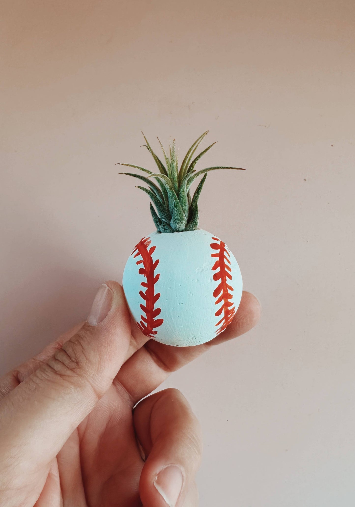 Baseball Mini Plant Pot with Plant
