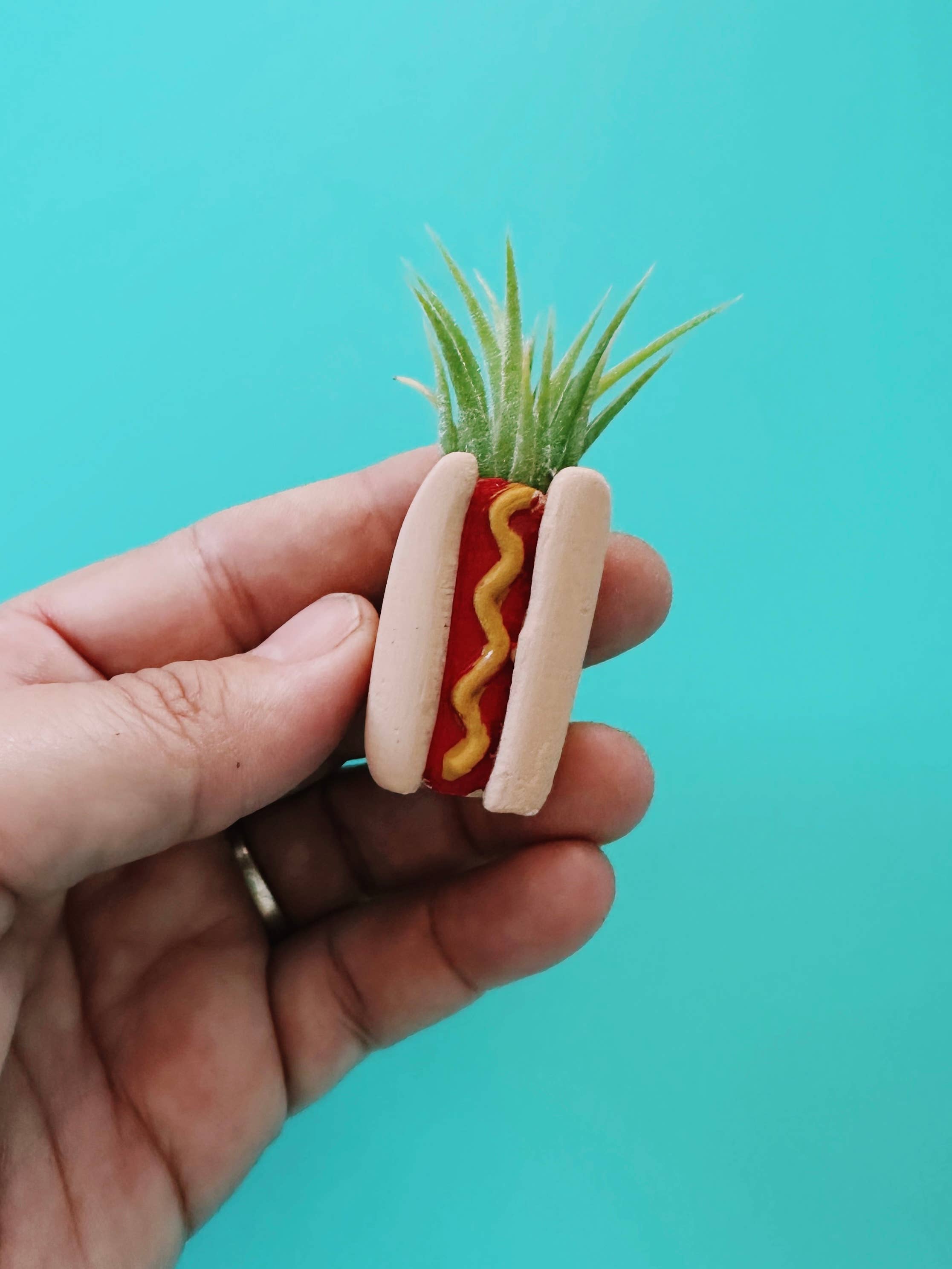 Hotdog Mini Planter and Plant