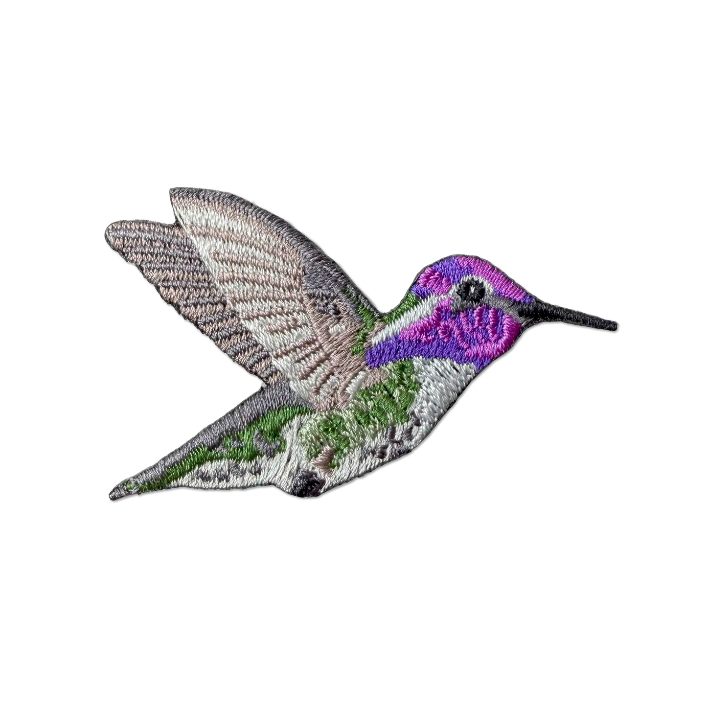 Costa's Hummingbird Patch