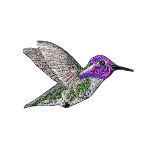 Costa's Hummingbird Patch