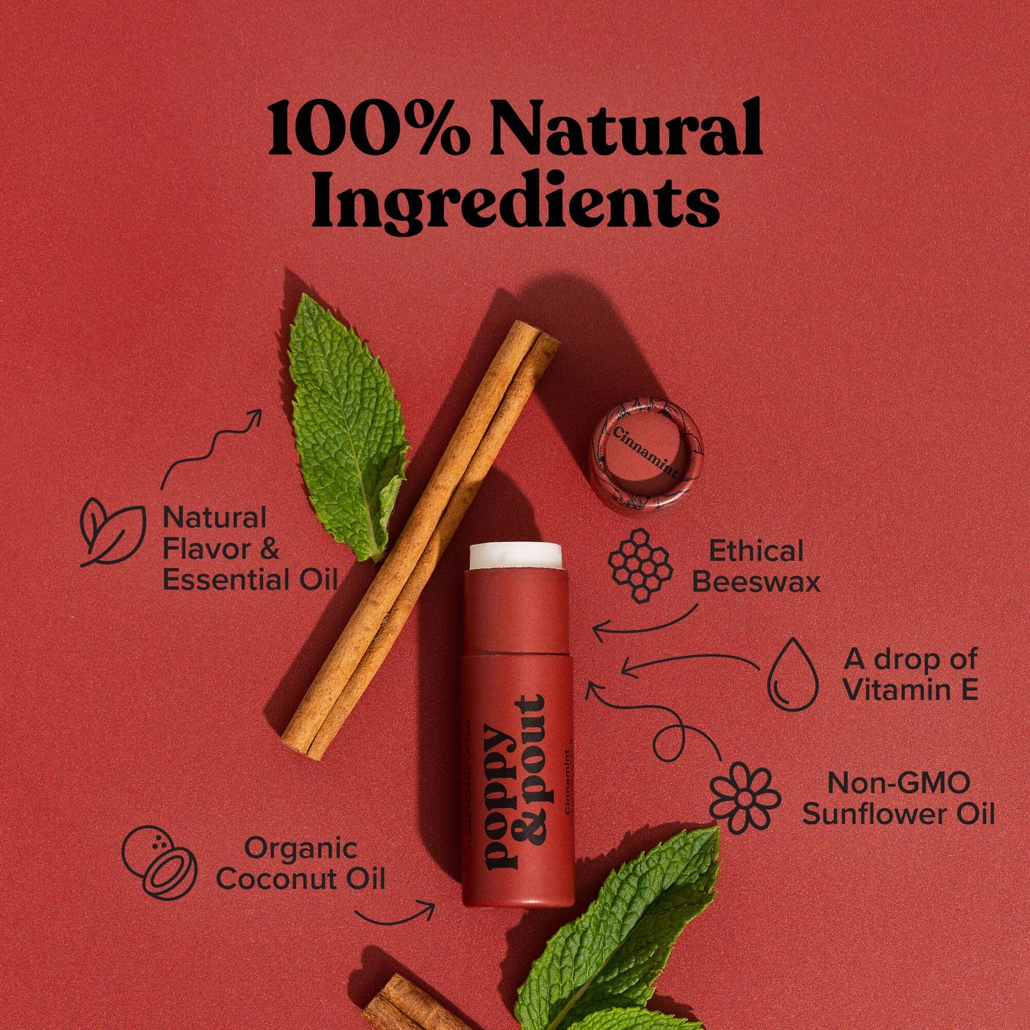 Lip Balm | Cinnamint